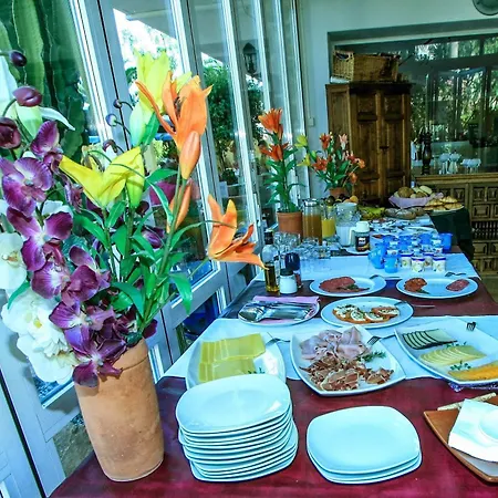 Hotel Solimar 3*